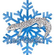 (c) Leo-gecko.de